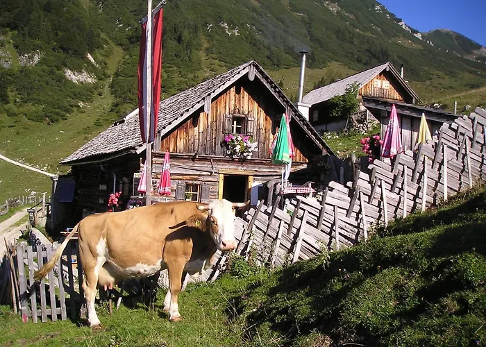 Renate Hubner גוסאו