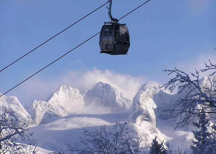 Renate Hubner דירה